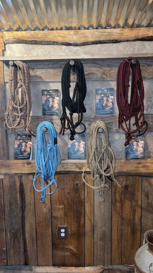 Halter and 13' Lead - Image 4