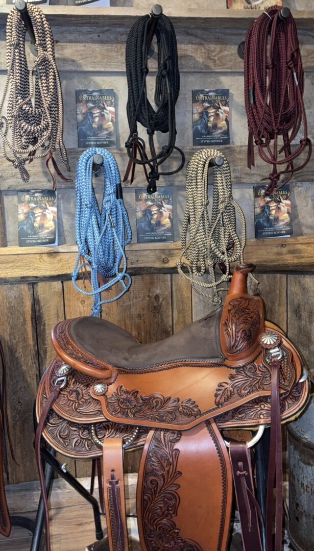 Halter and 13' Lead - Image 3